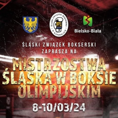 Plakat - Mistrzostwa Śląska w boksie